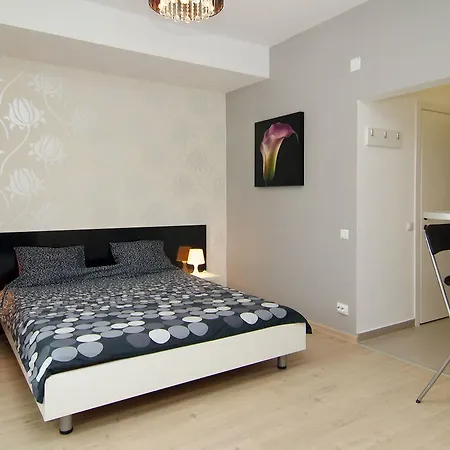 Appartement Central Studio Piata Romana *