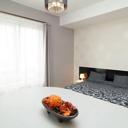 Appartement Central Studio Piata Romana Bucarest